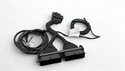 Adaptador Cableado Sistemas Ac Stag A Eg Europegas