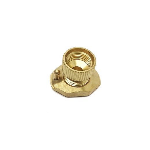 Adaptador Ø W21.8 Hembra / Dish Italiano Grande Macho Rotarex