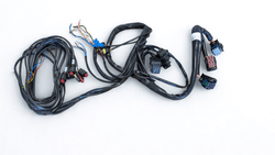 Cableado Centralita Afc 32P Negro 6Cyl Omvl