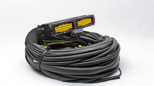 Cableado Centralita Evo01 2/3/4 Cilindros (Gris) Tartarini