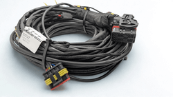 Cableado Dedicado Ssangyong Inyecto 3-4 Cilindros Europegas