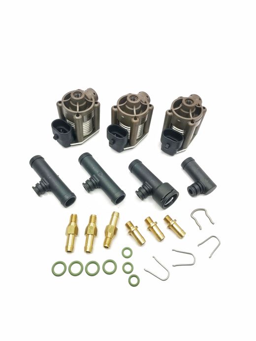 Rail De Inyecciû°n 3 Cilindros Inyectores Individuales Acw-03 Ac Stag