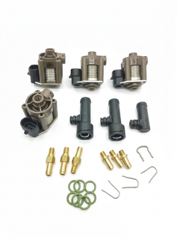 Rail De Inyeccion 3 Cilindros Inyectores Individuales Distribuidor Acw-03 Ac Stag