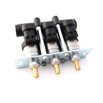 Rail De Inyeccion 3 Cyl Inyector Eg2000 Europegas