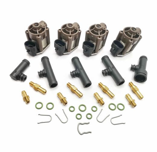 Rail De Inyecciû°n 4 Cilindros Inyectores Individuales Acw-03 Ac Stag