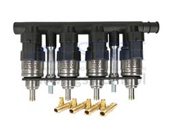 Rail De Inyeccion 4 Cyl Inyector Eg2000 Europegas
