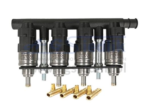 Rail De Inyeccion 4 Cyl Inyector Eg2000 Europegas