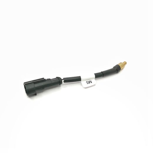 Sensor De Temperatura Reductor M5 Con Conector Europegas