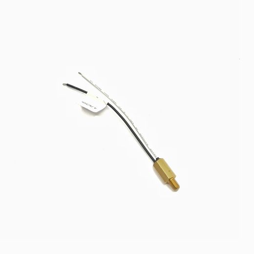 Sensor De Temperatura Reductor M5 Sin Conector Europegas