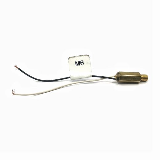 Sensor De Temperatura Reductor M6 Sin Conector Europegas