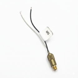 Sensor De Temperatura Reductor M6 Sin Conector Europegas